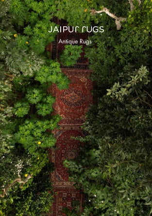 Antiques Rugs