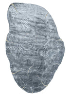 aibz-1001 image 1